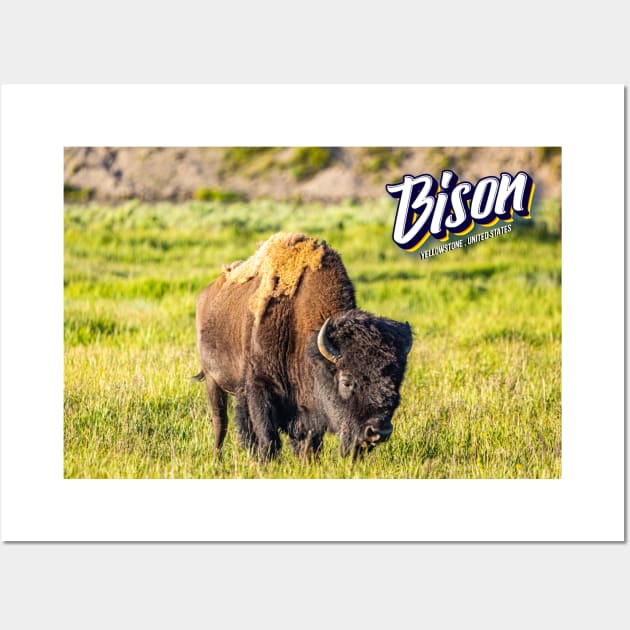 Bison at Yellowstone Wall Art by Gestalt Imagery